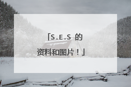S.E.S 的资料和图片!
