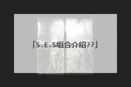 S.E.S组合介绍??