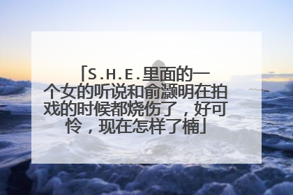 S.H.E.里面的一个女的听说和俞灏明在拍戏的时候都烧伤了,好可怜,现在怎样了楠