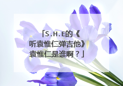 S.H.E的《听袁惟仁弹吉他》袁惟仁是谁啊？