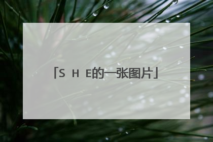 S H E的一张图片