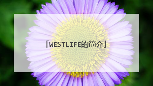 WESTLIFE的简介