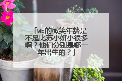 WE的微笑年龄是不是比苏小妍小很多啊？他们分别是哪一年出生的？