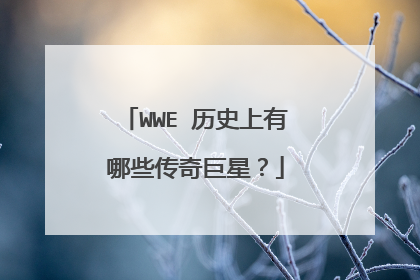 WWE 历史上有哪些传奇巨星？