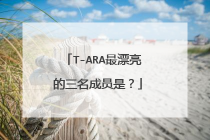T-ARA最漂亮的三名成员是?