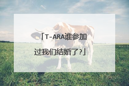 T-ARA谁参加过我们结婚了?