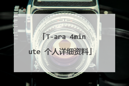 T-ara 4minute 个人详细资料