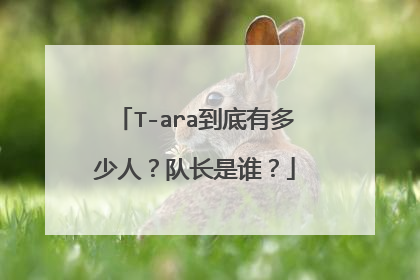 T-ara到底有多少人?队长是谁?