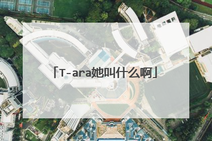 T-ara她叫什么啊