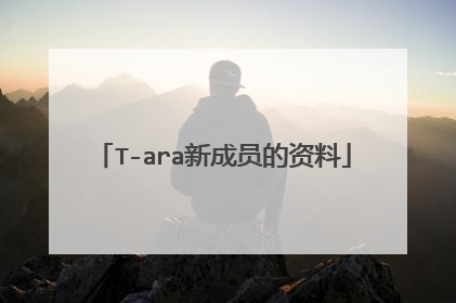 T-ara新成员的资料