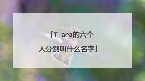 T-ara的六个人分别叫什么名字