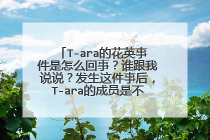 T-ara的花英事件是怎么回事？谁跟我说说？发生这件事后，T-ara的成员是不是发生了什么？