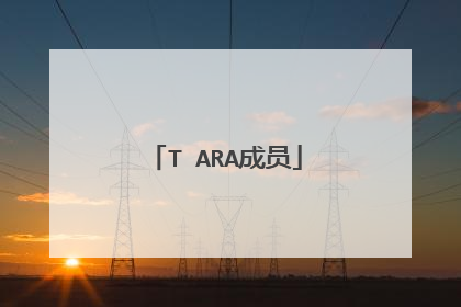 T ARA成员