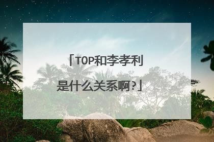 TOP和李孝利是什么关系啊?