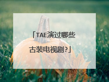 TAE演过哪些古装电视剧?