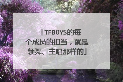 TFBOYS的每个成员的担当，就是领舞、主唱那样的