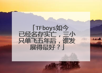 TFboys如今已经名存实亡，三小只单飞五年后，谁发展得最好？
