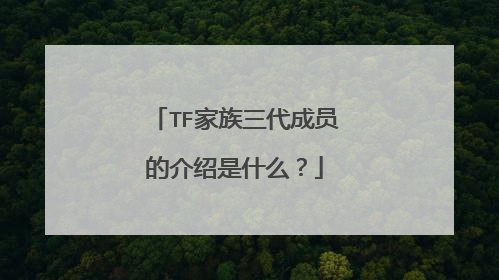 TF家族三代成员的介绍是什么？