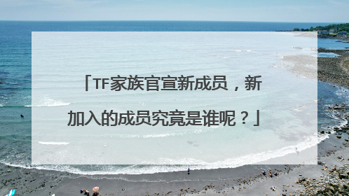 TF家族官宣新成员,新加入的成员究竟是谁呢?
