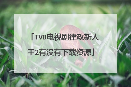 TVB电视剧律政新人王2有没有下载资源