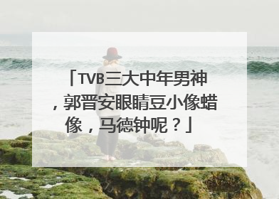 TVB三大中年男神，郭晋安眼睛豆小像蜡像，马德钟呢？