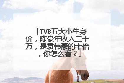TVB五大小生身价,陈豪年收入三千万,是袁伟豪的十倍,你怎么看?