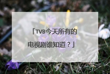 TVB今天所有的电视剧谁知道?