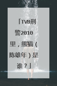 TVB刑警2010里,熊猫(陈雄年)是谁?