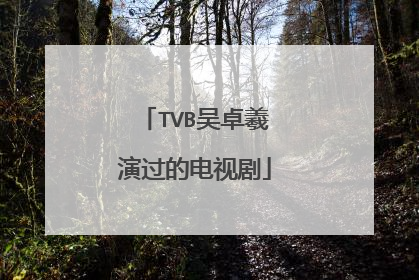 TVB吴卓羲演过的电视剧