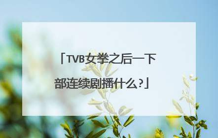 TVB女拳之后一下部连续剧播什么?