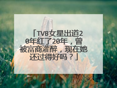 TVB女星出道20年红了20年,曾被富商灌醉,现在她还过得好吗?