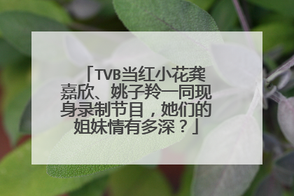 TVB当红小花龚嘉欣、姚子羚一同现身录制节目，她们的姐妹情有多深？