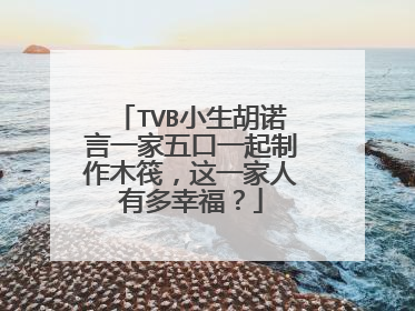 TVB小生胡诺言一家五口一起制作木筏,这一家人有多幸福?