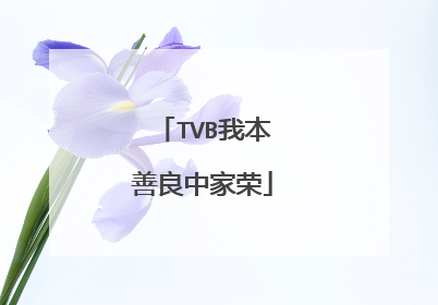 TVB我本善良中家荣