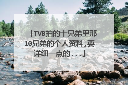 TVB拍的十兄弟里那10兄弟的个人资料,要详细一点的...