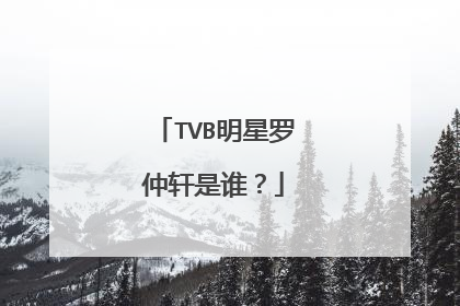 TVB明星罗仲轩是谁？