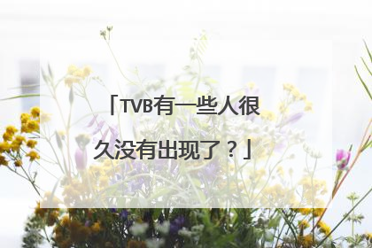 TVB有一些人很久没有出现了？