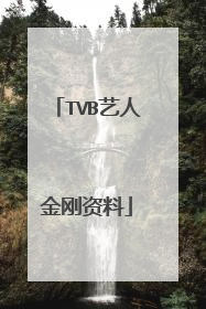 TVB艺人金刚资料