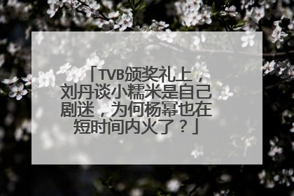 TVB颁奖礼上,刘丹谈小糯米是自己剧迷,为何杨幂也在短时间内火了?