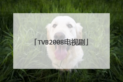 TVB2008电视剧