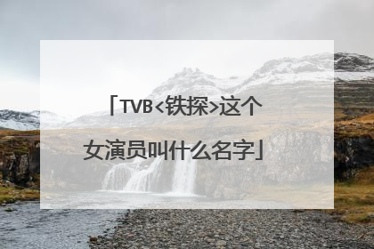 TVB<铁探>这个女演员叫什么名字