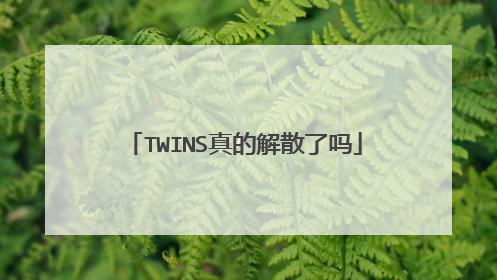 TWINS真的解散了吗