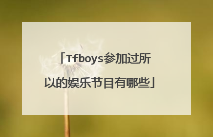 Tfboys参加过所以的娱乐节目有哪些