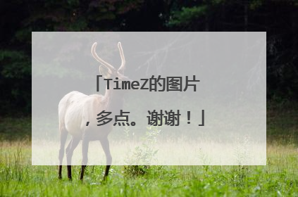TimeZ的图片,多点。谢谢!