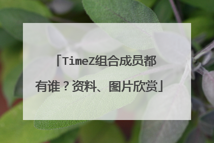 TimeZ组合成员都有谁？资料、图片欣赏
