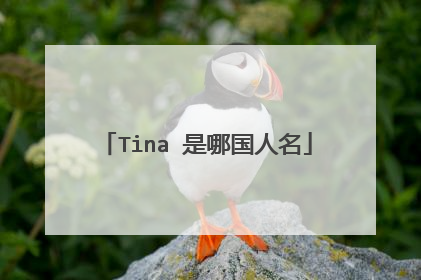 Tina 是哪国人名