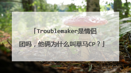 Troublemaker是情侣团吗,他俩为什么叫草马CP?
