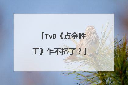 TvB《点金胜手》乍不播了?