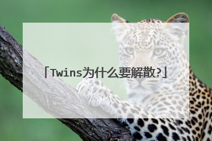 Twins为什么要解散?