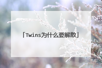 Twins为什么要解散